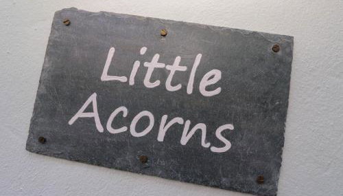Little Acorns - Foto 4