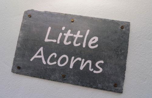 Little Acorns - Photo 4