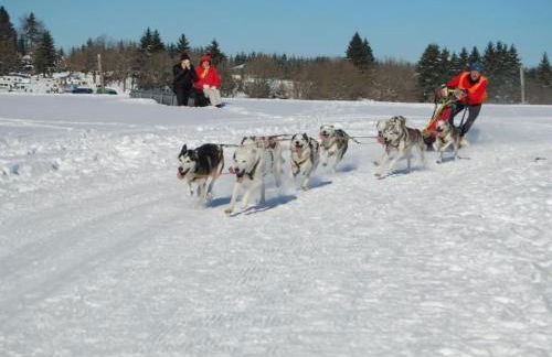 Apartment Landhaus Schneekopf by Interhome - Foto 8