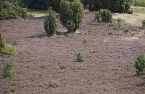 Ferienhaus Wahlers - Foto 28