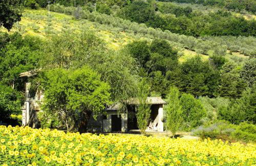 Appartamenti Verde Collina Umbra - Foto 57