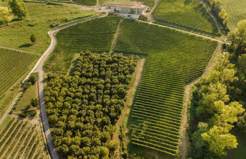 iCOLLIROSSI Agriturismo - Foto 28