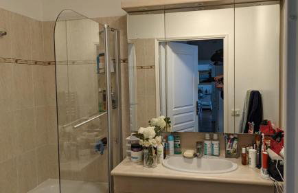 Appartement lumineux Seine, île St-Germain, proche Porte de Versailles et la Défense - Photo 7