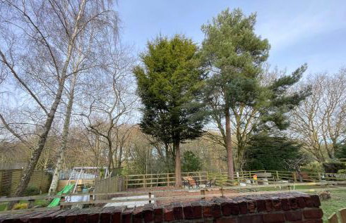 Rosie's Cottage - Beamish - Foto 31