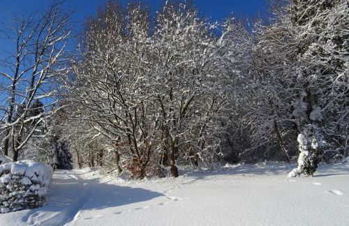Deine-Eifel-Ferienwohnung - Foto 51