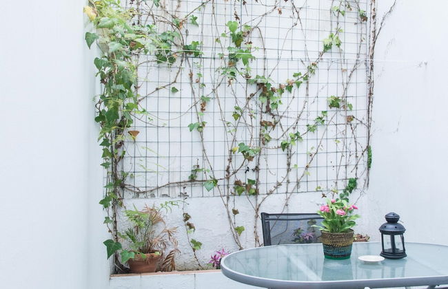 San Marcos Apartamentos - Photo 56