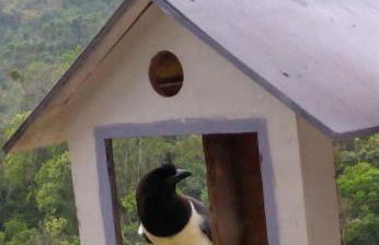 Casa Sossego da Montanha - Foto 38