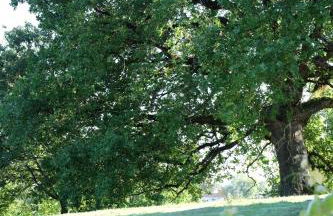 Résidence Saint Clair - Foto 11