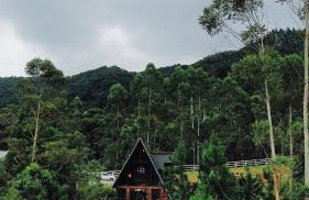 Chalé romântico super privativo com hidro e café - Photo 2