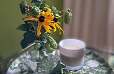 Holledauer Hopfakammerl - Foto 15