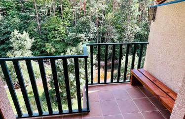 El refugio de la ardilla, apartamento Canfranc-estacion - Foto 9