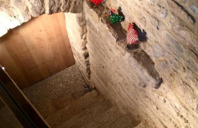 Gite l'Entre-Coeur - Foto 31