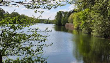 Am Storchennest - Foto 2