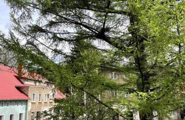 Pod Modrzewiem - Foto 5