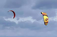 Lobster im Nauticum - Foto 24