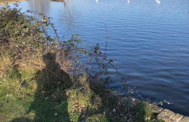 Willow Barn luxury countryside accommodation in Bury St Edmunds - Foto 36