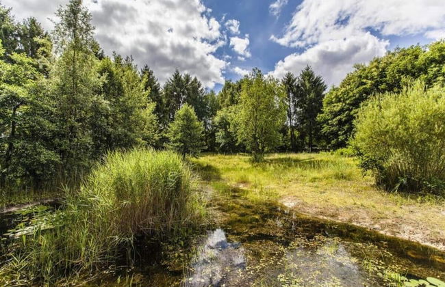 Tranquil Retreat in Appelscha - Foto 30