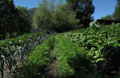 Agriturismo Barba Gust - Foto 45