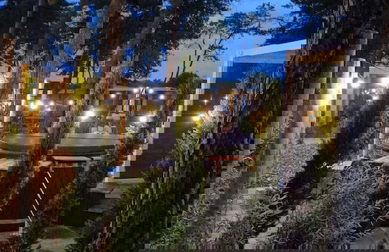 Casa Sallandia met Outdoor Wellness - Foto 39