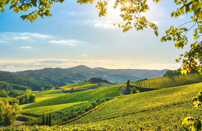 Molino del Ponte - Foto 45