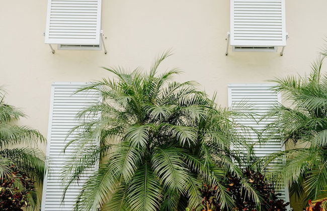 Beach Castle Resort by RVA - Foto 78