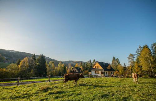 Chata Smagula - Foto 19