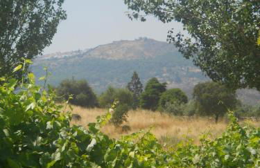 Tapada da Beirã - Foto 49