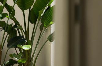 Palazzetto Vico San Marco - Photo 30