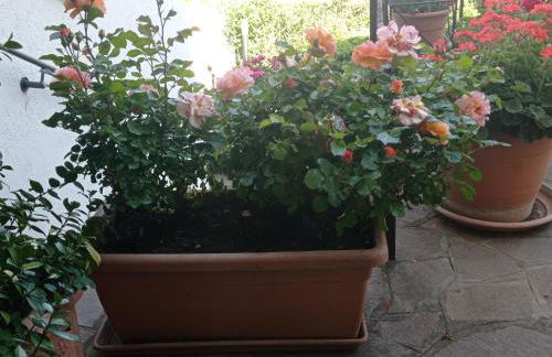 Casa Alice, in collina con panorama - Foto 16