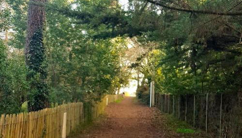 Villa 6 ch. avec sauna, jardin et parking près du Bassin d'Arcachon - FR-1-736-51 - Foto 4