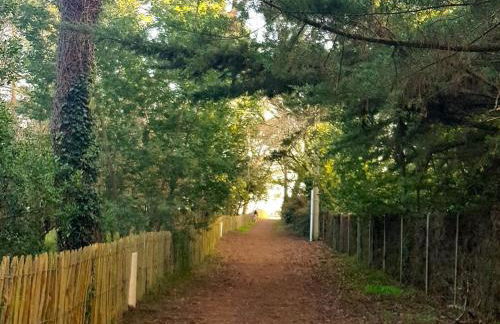 Villa 6 ch. avec sauna, jardin et parking près du Bassin d'Arcachon - FR-1-736-51 - Foto 4