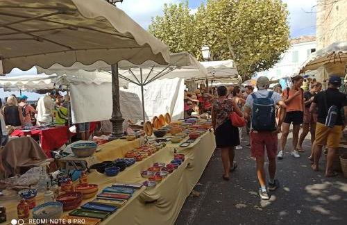 La Rose des Claux - Foto 44