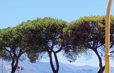 Al VICO TREDICI - Foto 50