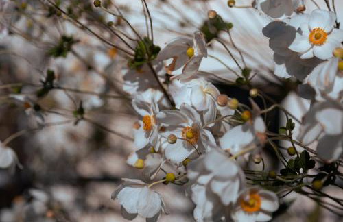 Apartment "Johana" - Foto 14