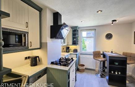 Apartments am Saalebogen mit Gartenterrasse, Grillkamin und freie Parkplätze - Foto 55