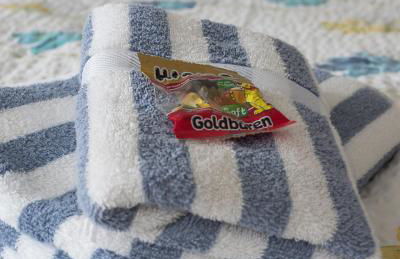 Chalet - Schalom - Foto 23