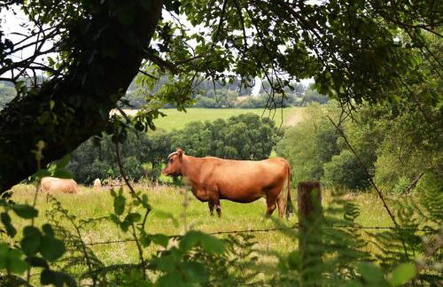 Casa con jardín cerca Playa de la Franca – Male - Foto 22