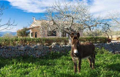 155 Finca Son Rossignol by Mallorca Charme - Foto 29