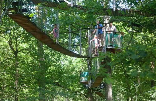 Gîte de l'Alisier - Rambouillet - - Foto 26