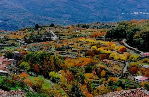La Lancha del Jerte - Foto 25