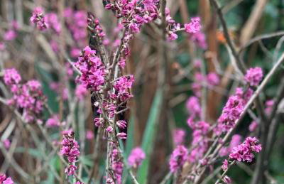 Agro na Wapniarni - Foto 39