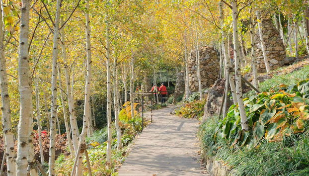 Excursion à Seoraksan - Photo 2, Promenade à Seoraksan