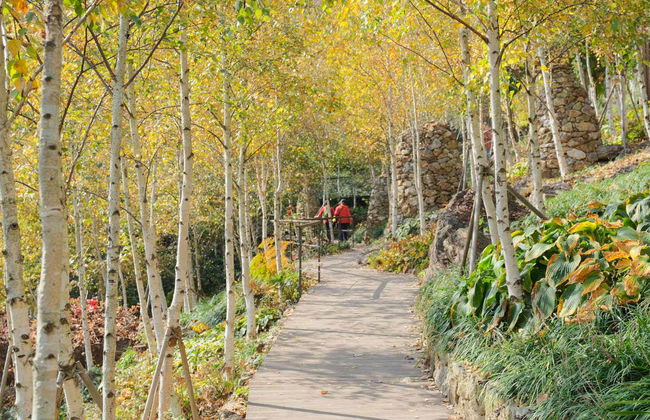 Excursão a Seoraksan - Foto 2