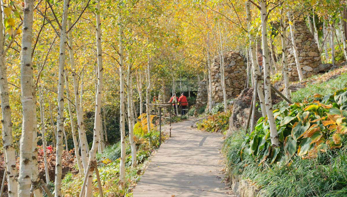 Passeando por Seoraksan