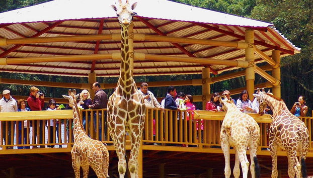 Tour in Queretaro - Photo 4