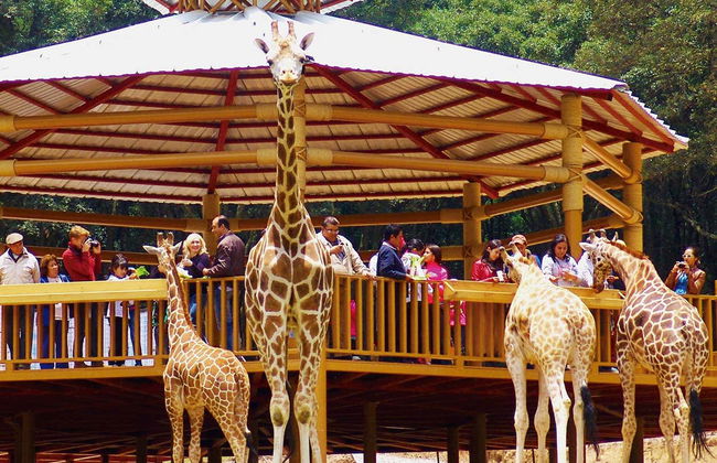 Excursión al Bioparque Estrella - Photo 4