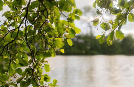 Schillhörn - Urlaub mit Wasserblick - Photo 33