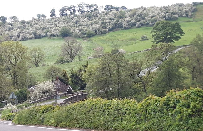 Rose Cottage - Foto 6