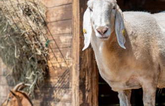 Agriturismo La Fucina - Foto 55