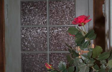 Feriendomizil Lautertal-Idylle - Foto 44